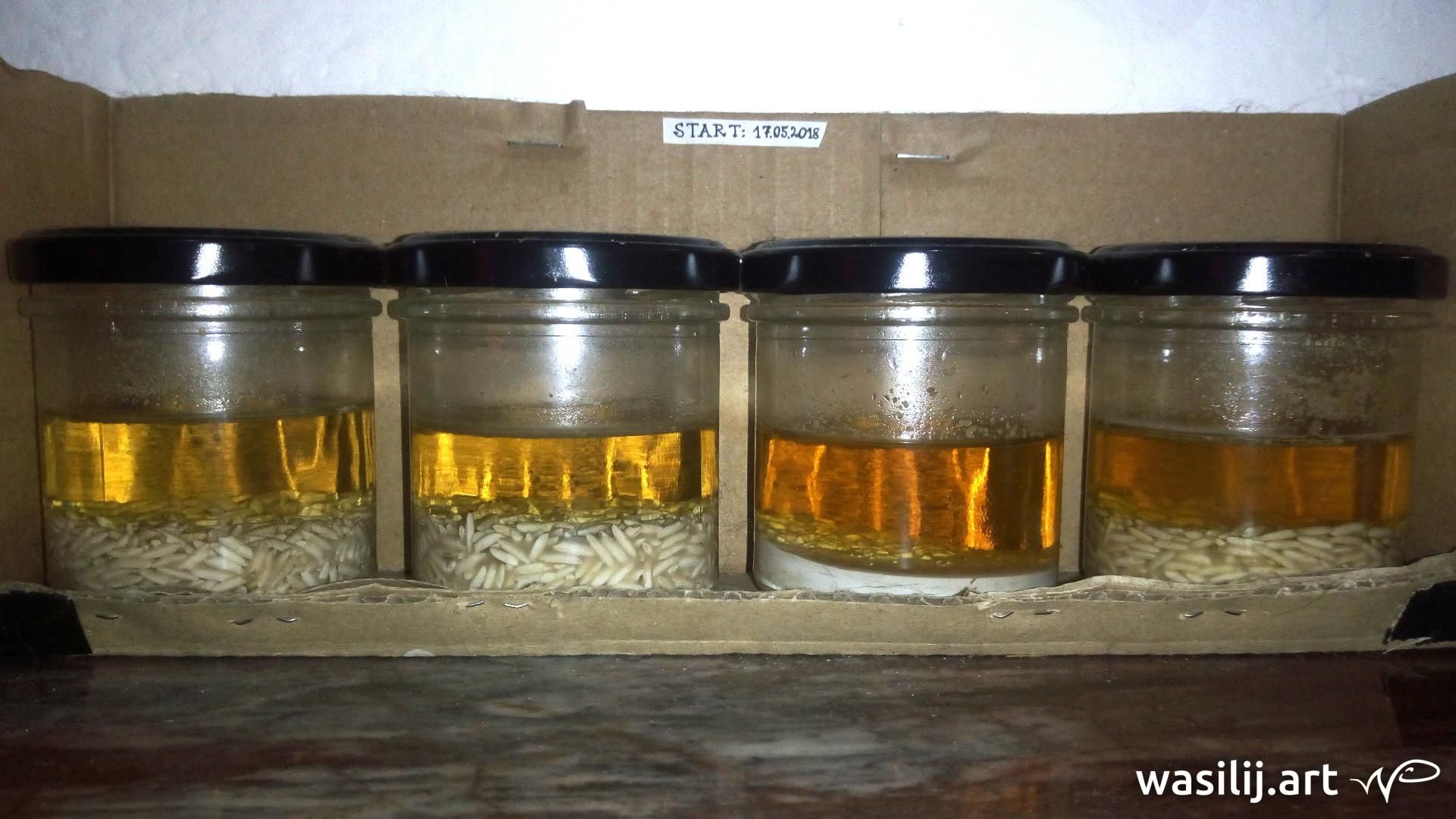 wasilij.art - Lyrik - Die Macht der Worte - Reis-Experiment 02